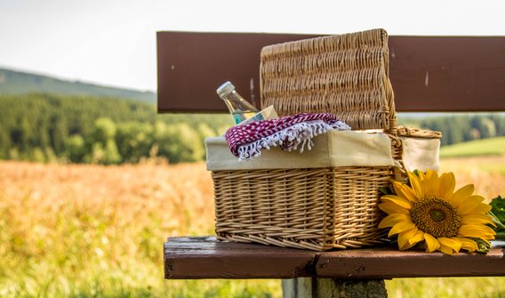 Bild: Ein vollgepackter Picknickkorb auf einer Bank neben einem Feld.